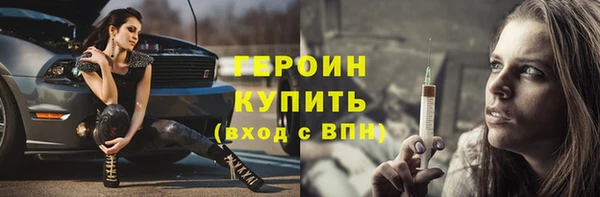 индика Няндома