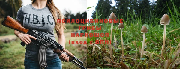 PSILOCYBIN Баксан