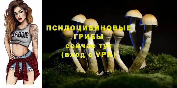PSILOCYBIN Баксан