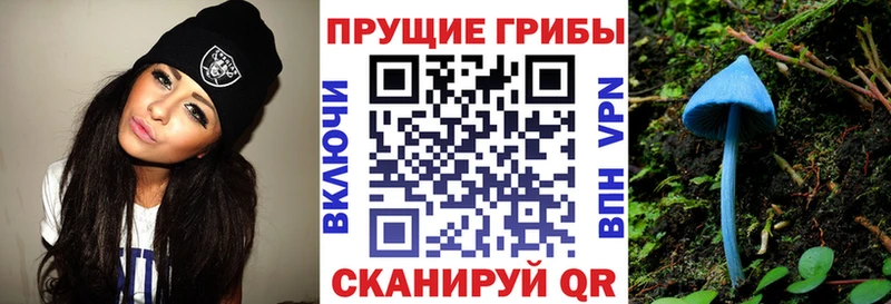blacksprut рабочий сайт  Новоалтайск  Галлюциногенные грибы ЛСД 